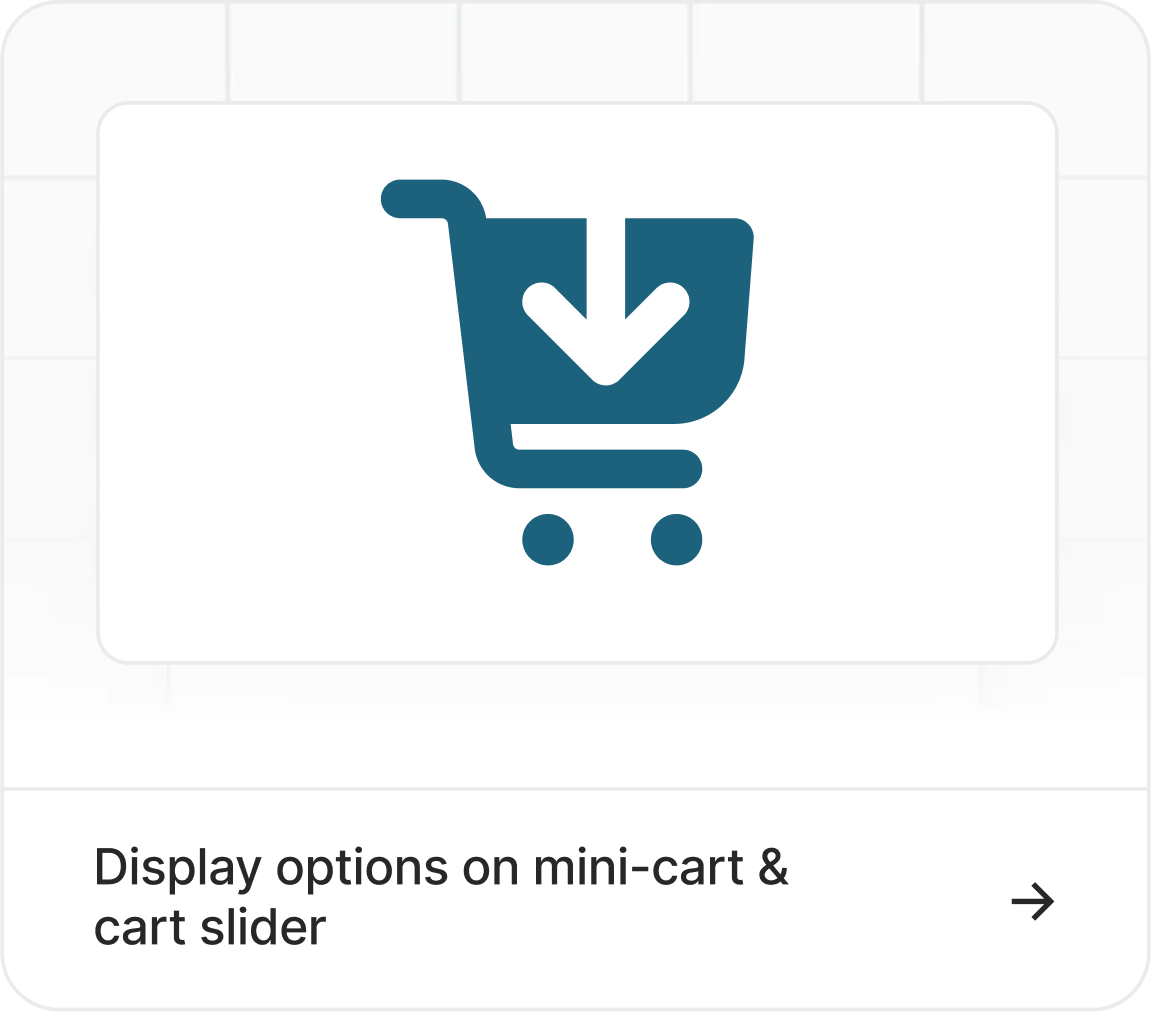 Display Options on Mini-cart