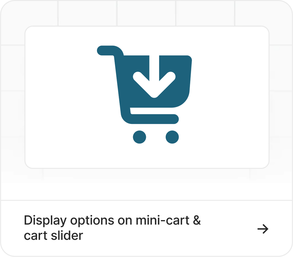 Display Options on Mini-cart